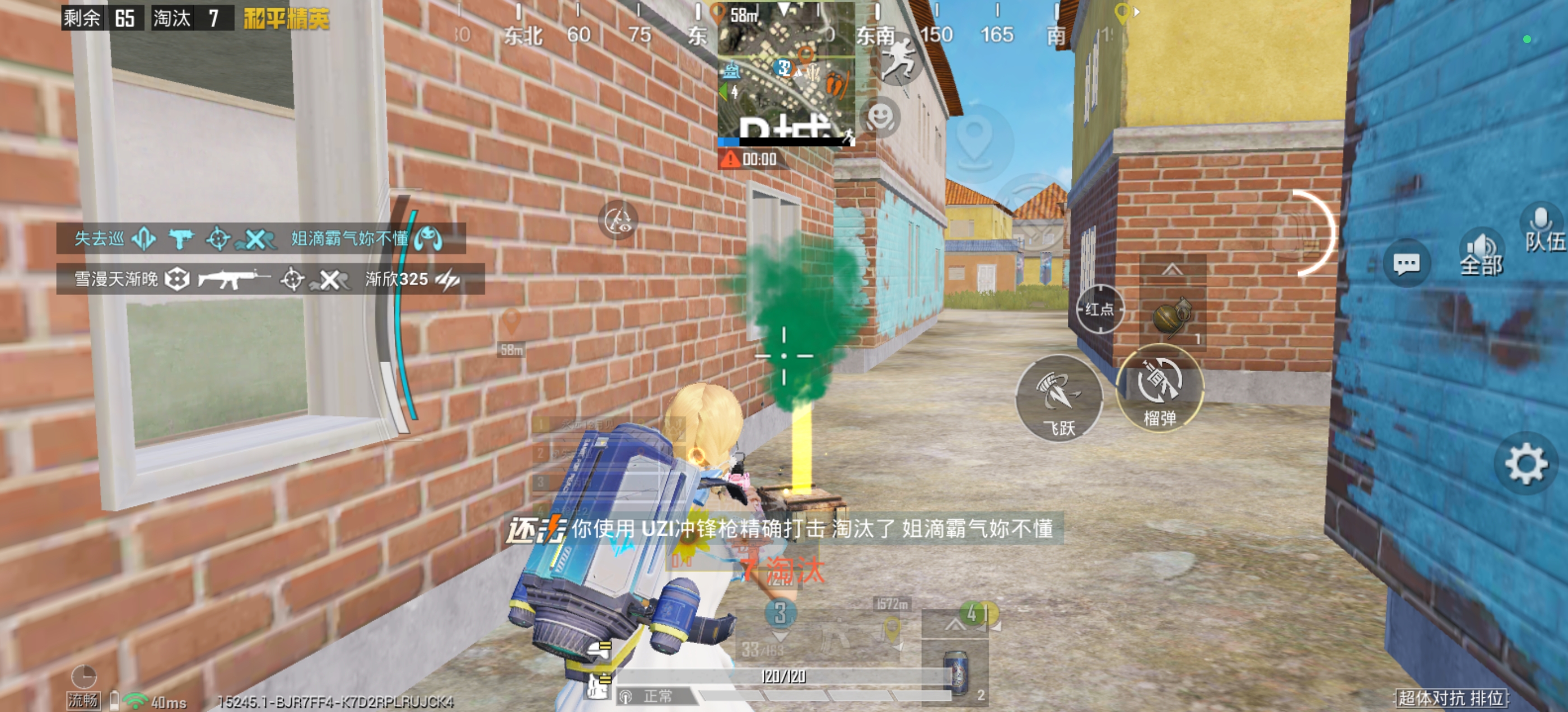 国家政党